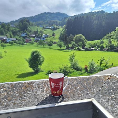 Wohnung Rheintal Im Alpenvorland Batschuns 외부 사진