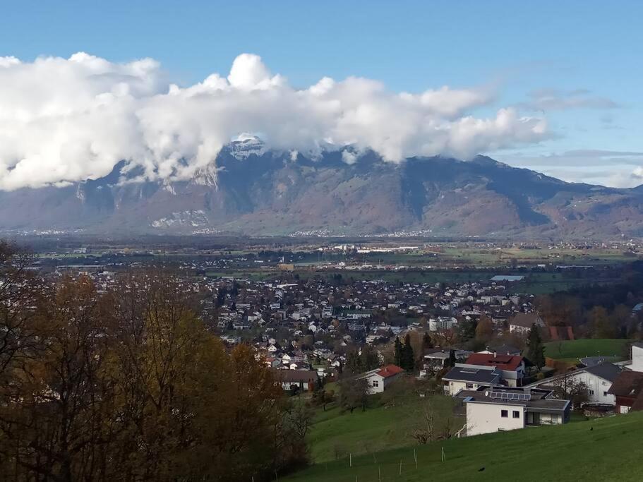 Wohnung Rheintal Im Alpenvorland Batschuns 외부 사진