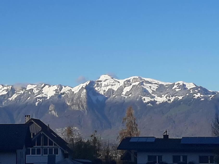 Wohnung Rheintal Im Alpenvorland Batschuns 외부 사진