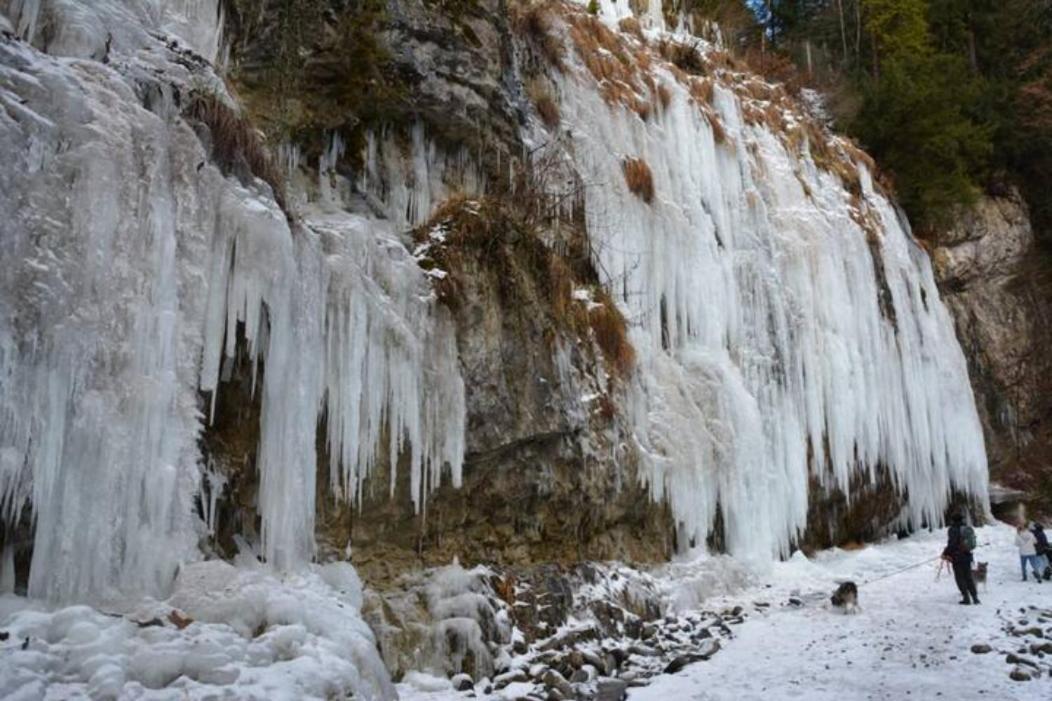 Wohnung Rheintal Im Alpenvorland Batschuns 외부 사진