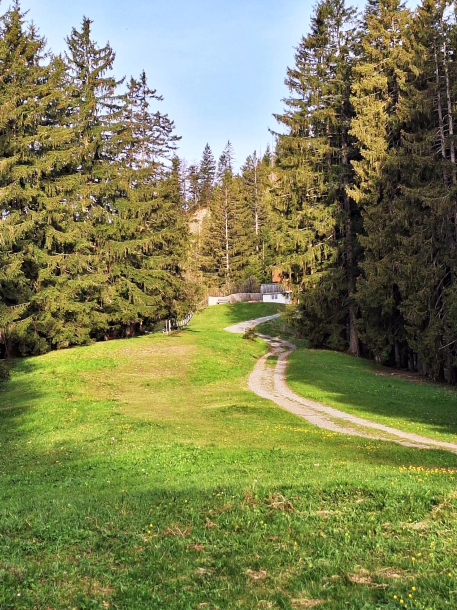 Wohnung Rheintal Im Alpenvorland Batschuns 외부 사진