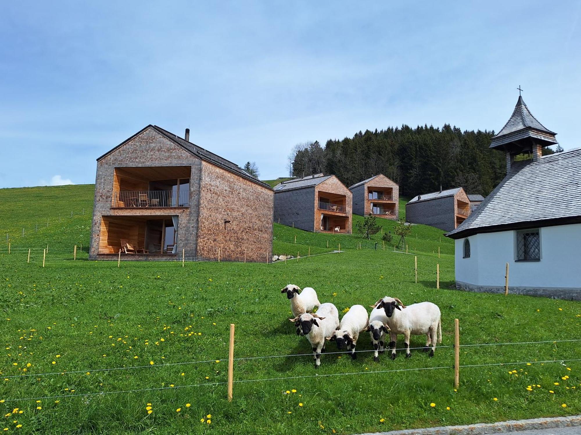 Wohnung Rheintal Im Alpenvorland Batschuns 외부 사진