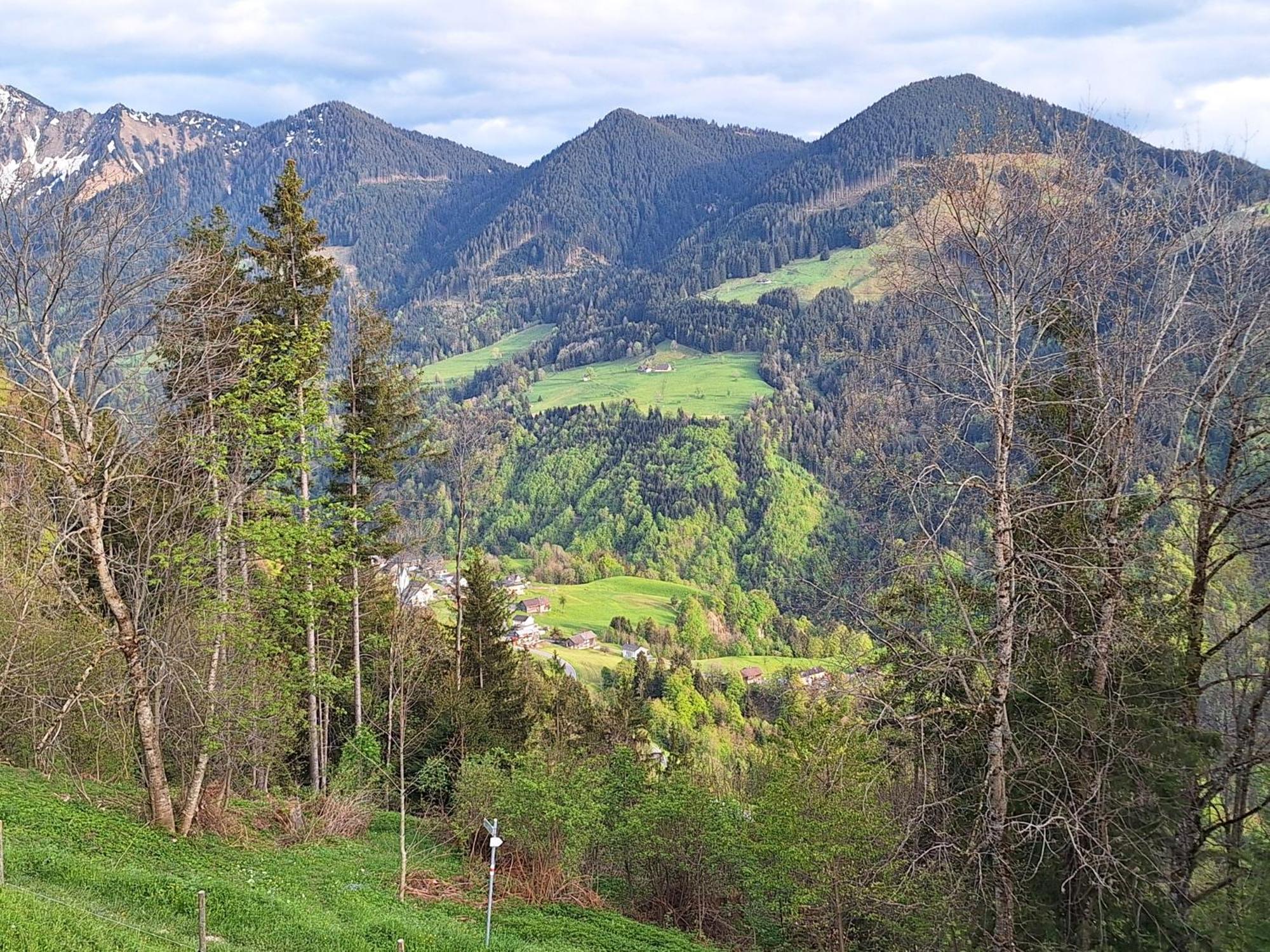 Wohnung Rheintal Im Alpenvorland Batschuns 외부 사진
