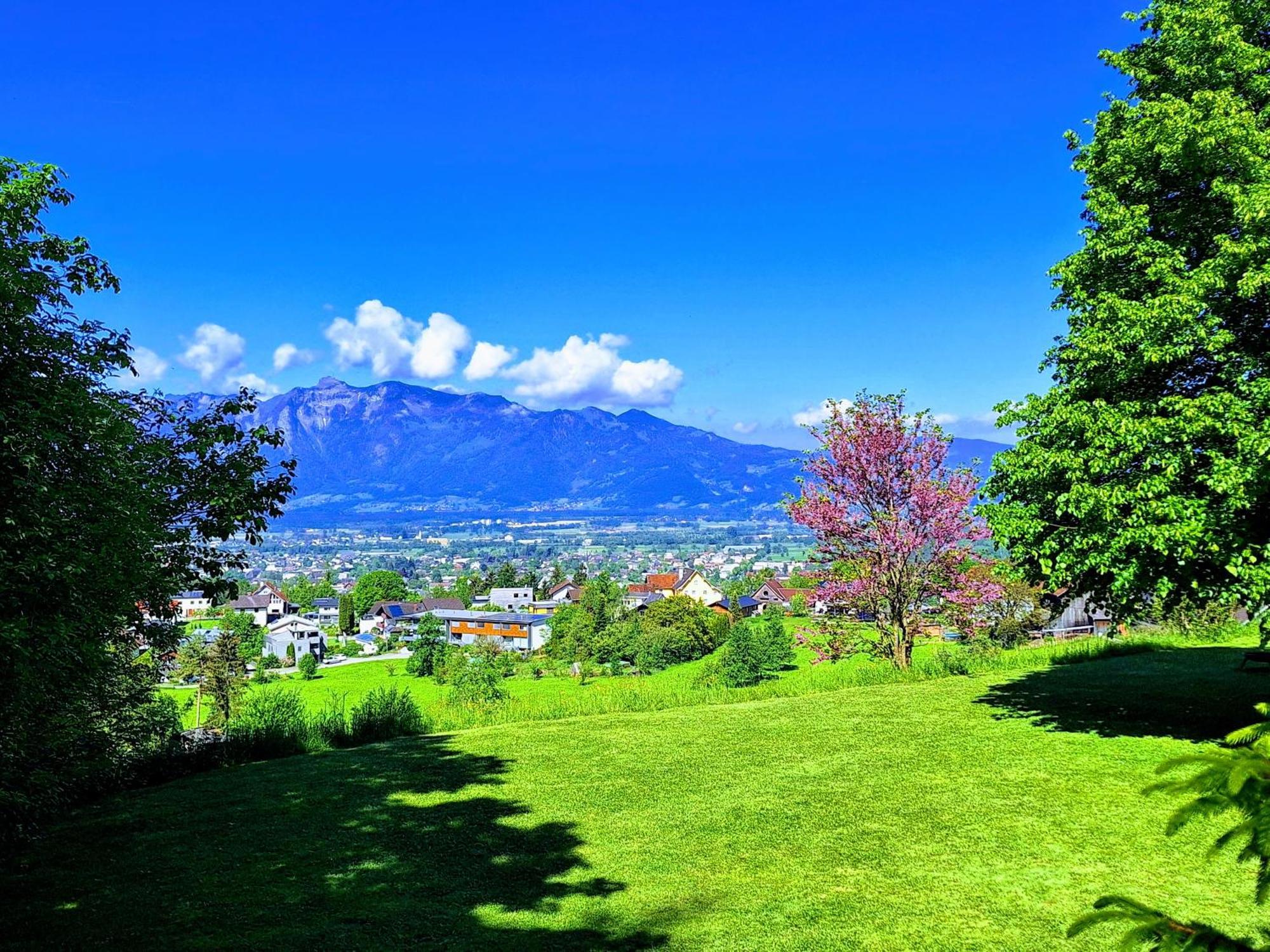 Wohnung Rheintal Im Alpenvorland Batschuns 외부 사진